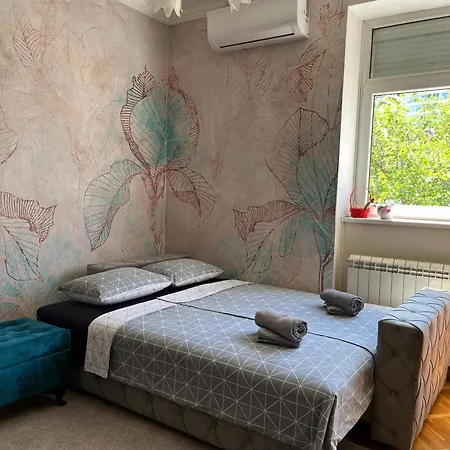 Sasha 1 - Ask For Free Parking Sajmiste