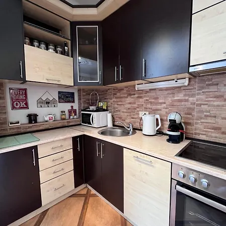 Sasha 1 - Ask For Free Parking Apartment Sajmiste